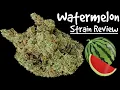 Watermelon Strain Review