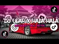 Download Lagu DJ ULAR X HALA HALA BREAKBEAT VIRAL TIKTOK