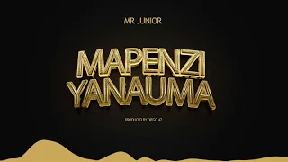 mr junior mapenzi yanauma official music audio 