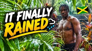 Jamaica In The Rain: You Won't Believe The Greenery! 🌴