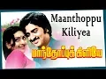 Download Lagu MANTHOPPU KILIYE || மாந்தோப்பு கிளியே || Tamil Rare Movie Songs ||  HD