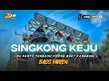 Download Lagu DJ SINGKONG KEJU TERBARU VIRAL TIKTOK PARTY BASS HOREG YANG KALIAN CARI CARI