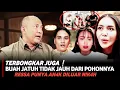 Lagu Bocor❗Buah jatuh tidak jauh dari pohonnya Ternyata Ressa rizky nikahi Dini imbas h4mil duluan