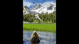 يعلو هذا الكاس على الكؤوس 