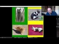 Adaptive Input Demo
