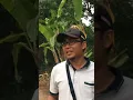 Download Lagu Luar biasa Meishin Istri Brama Kumbara ternyata disini tempat tinggalnya