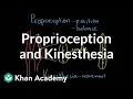 Proprioception and kinesthesia Processing the Environment MCAT Khan Academy