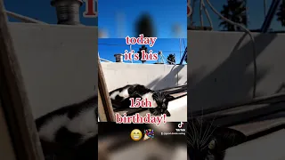 Live your best life! 🤩 Happy 15th birthday to our little PJ 🥰#sailinglife #liveaboard #petsonboard