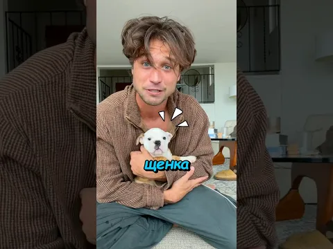 Он забрал не того щенка