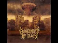 Download Lagu Abolishment Of Flesh - Self-Titled (Full Album)