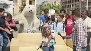 اعلان مولتو ميكس الجديد شوكولاتة وكريمة الدب 