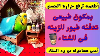 وجبات ومشروبات من البيت للعصافير لرفع مناعه العصافير فى الشتاء  وجبات ومشروبات من البيت للعصافير لرفع مناعه العصافير فى الشتاء