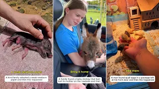 Kindness Is Everywhere #animals #rescue #wildlife #pets #cute #funny #lovestory #animalfriends
