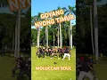 Download Lagu NYONG TIMUR - Gihon Marel | Dance By Moluccan Soul #dance #dancevideo #brotherhood #dancer