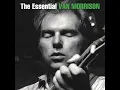 Van Morrison | Tupelo Honey ♫ | 1971 (Official Audio)