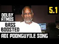 Download Lagu ADI POONGUYILE 5.1 BASS BOOSTED SONG | ARANMANAI KILI | ILAYARAJA | DOLBY | BAD BOY BASS CHANNEL