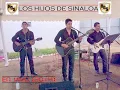 Toro encartado- Los Hijos de Sinaloa (2014)