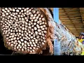 Download Lagu Menjijikkan!! Isi Kayu Ini Mengejutkan Semua Orang di Sawmill