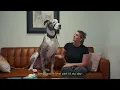 Puget Sound Veterinary Specialty Emergency