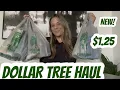 Download Lagu DOLLAR TREE HAUL | NEW | AMAZING BRAND NAME FINDS 😱