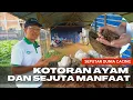 Download Lagu CARA VERMENTASI KOTORAN AYAM UNTUK PUPUK ORGANIK, DIJAMIN TIDAK BAU DAN SIAP DIGUNAKAN