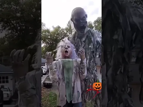 Halloween 🎃 ￼2023