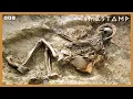 Download Lagu Fragile Clues To Identity Of Lost WW1 Soldiers That History Forgot | BBC Timestamp