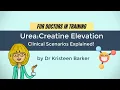 Causes of Raised Urea with Normal Creatinine Urea Physiology