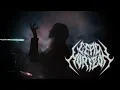 Download Lagu Lead Horizon  - Nothing Remains (Music video)