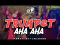 Download Lagu 🔥BASS GETAR | TRUMPET AHA AHA 🌴LAGU PARTY TERBARU 2025 - DONNY EXCOTIC