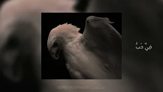 ف  ي   ح   ب       بطيئ       ه    د وء                              دندنها