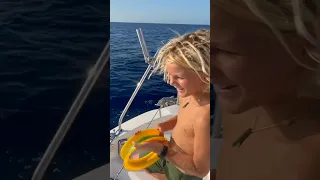 Weed Fish #travel #gosailing #newsport #sea #setsail #ocean #cruise