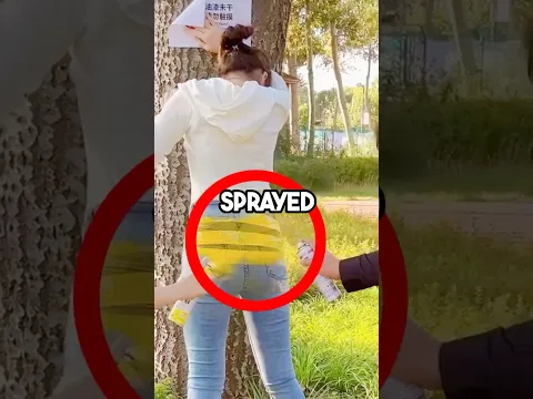 ULTIMATE CHAIR SPRAY PRANK Of The Century 🤣🤣