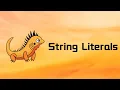 Zig String Literals Tutorial 08