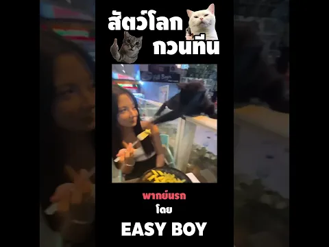 สัตว์โลกกวนตีน พากย์นรก #short #easyboy #คลิปฮา #เบสไวน์
