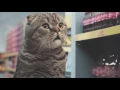 Download Lagu Best Ad Ever!