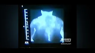 Mo Pai Scientific Proof Of The Dantian Captured On Film