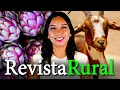 Lagu PROGRAMA REVISTA RURAL - 09/11/2025