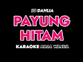 Download Lagu PAYUNG HITAM - Karaoke Dangdut Nada Wanita [IIS DAHLIA ]