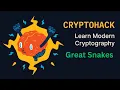 CryptoHack Introduction Great Snakes in Nepali