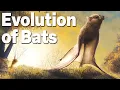 Download Lagu The Truth of Bat Evolution