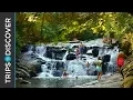 Georgia Swimming Holes You Should Visit This Summer