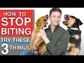 How To Train Your Puppy to STOP BITING You 3 Proven Techniques That WILL Work