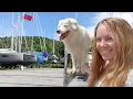 Download Lagu Onze dagelijkse routine op een zeilboot in Trinidad - Scheepswerfeditie!