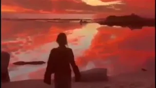 خالد عبدالرحمن ياضاميه دندنها