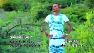 Kadiir Martuu Fi Gaddise Shamsudin 