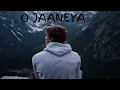 O JAANEYA LOFI SONG #trending