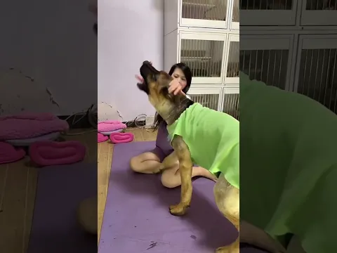 🤣这互动方式也太硬核了！ 狗子直接被按在地上懵圈，玩得也太疯了😂  #夫妻日常 #和狗狗玩的互动游戏 #宠物与主人互动