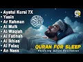 Download Lagu 魂を癒す天使のクルアーン朗誦 | Alaa Aqel | 心の浄化と瞑想