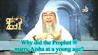 Download Why did Prophet salla Allahu alaihi wa sallam marry Ayesha at such a young age - Assim al hakeem MP3